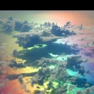 Meet your Posher, Misty